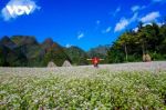 TOUR DU LỊCH HÀ GIANG